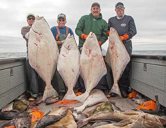 Homer Fishing Charter Pictures